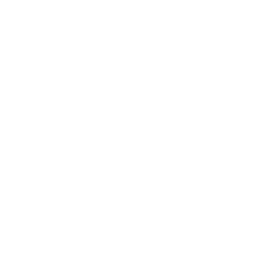 Napapiirin tilipalvelut